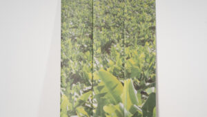 0063 Div. Designer Wandbild
