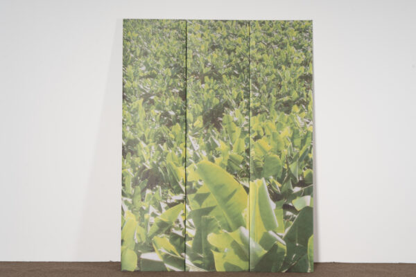 0063 Div. Designer Wandbild